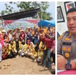 Polres Pariaman Panen Raya Jagung Kuartil III, AKBP Andrenaldo Ademi Pastikan Stabilitas Pangan Terjaga