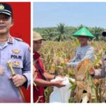 Kapolres Dharmasraya AKBP Purwanto: Polri Siap Dukung Swasembada Pangan Nasional