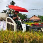 Dandim 0312/Padang Bersama Ketua DPD LPM Kota Padang Dorong Swasembada Pangan Lewat Panen Raya