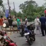 Antisipasi Pohon Tumbang, Warga di Minta Waspada Angin Kencang