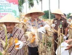 Panen Raya Jagung Serentak, Kapolres Pasaman Barat AKBP Agung Tribawanto Tegaskan Polisi Hadir untuk Petani