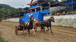Pacu Bugis, Tradisi Unik dan Khas Yang Masih Lestari Di Minangkabau