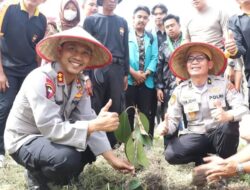 Lanjutkan Gerakan Hijau, Polres Tanah Datar Tanam Seribu Pohon Tahap Ke Dua
